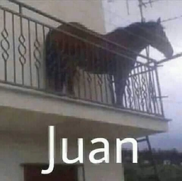 Hugo T